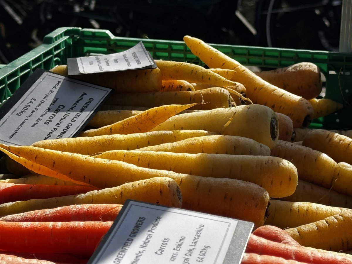 Jesmond Dene tweet media