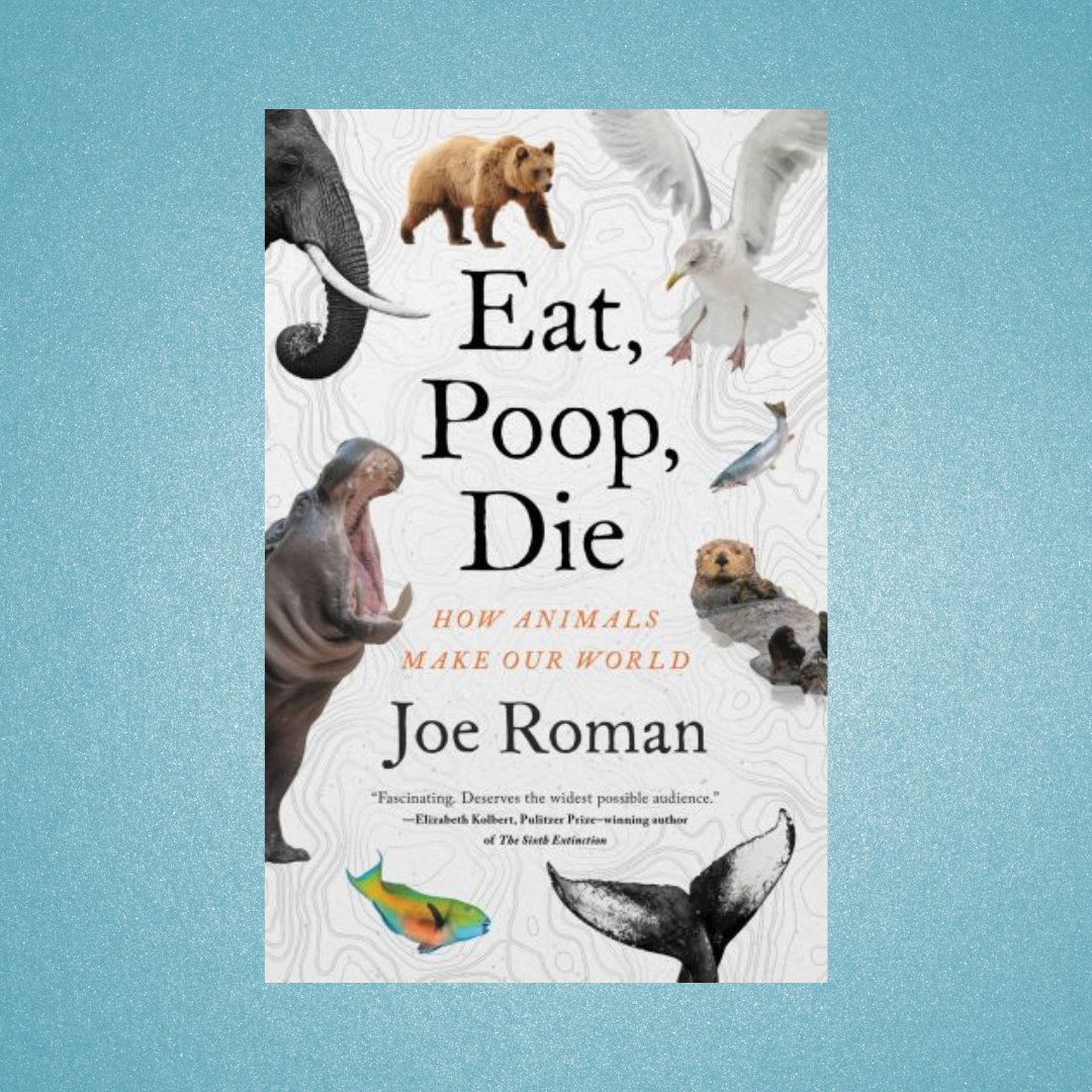 'For Roman, these ecological insights offer more than a refined understanding of our world; they also provide a roadmap for how we can improve it.' @ferrisjabr reviews Joe Roman's 'Eat, Poop, Die.' lareviewofbooks.org/article/animal…