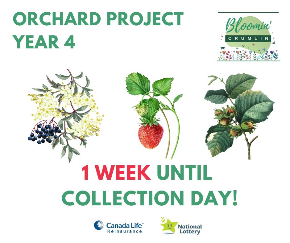 Collection day is just 1 week away! 
Some important information to note: There will be over 2500 plants &amp; shrubs available for collection. If possible, please walk or cycle to the collection point. NO PARKING is available (the plants &amp; shrubs are small &amp; light enough to carry).