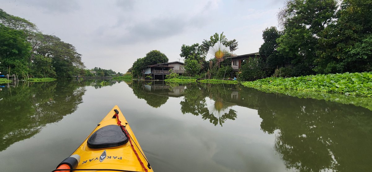 Mister Kwai tweet media