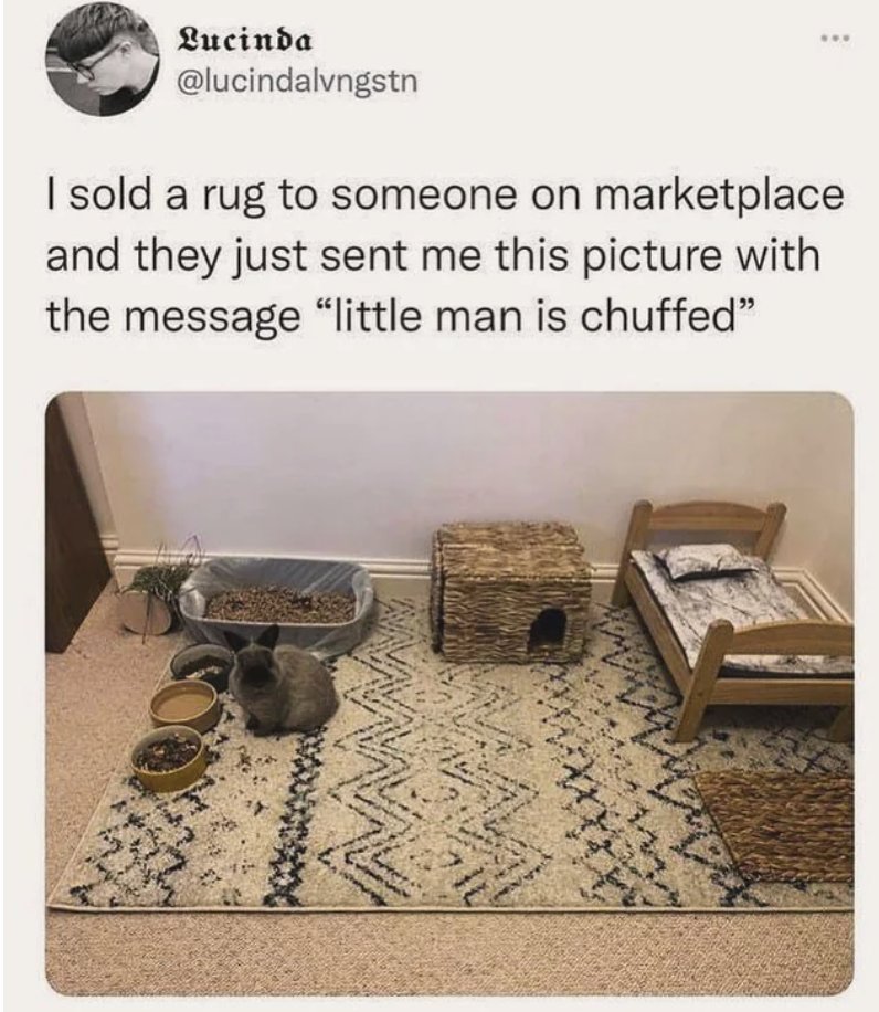 Respectful Memes (@respectfulmemes) on Twitter photo 