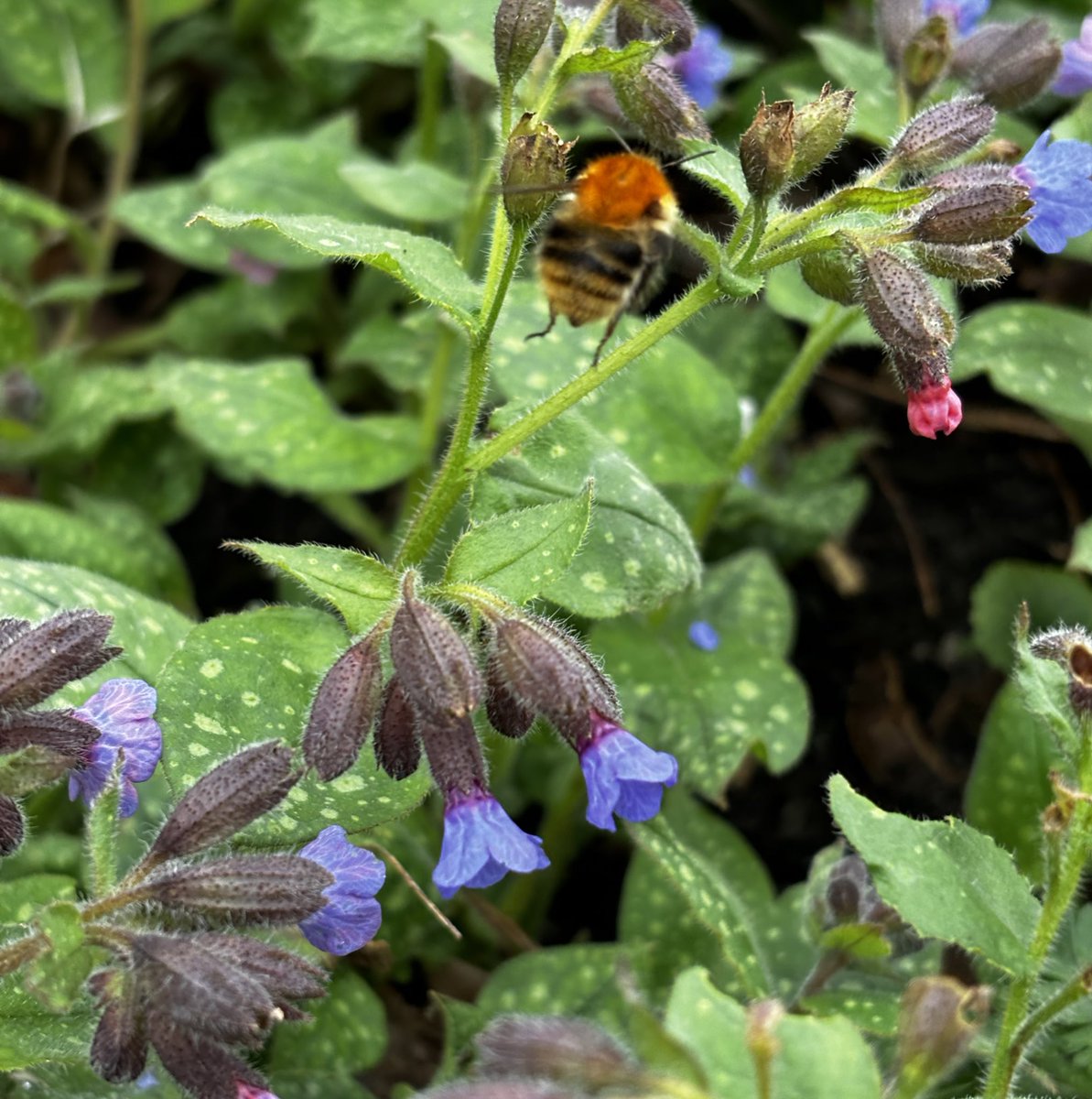 Tobias van Elferen tweet media