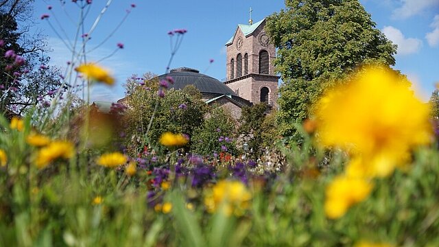 Jetzt anmelden! Online-Seminar „Urbane Naturoasen – Potenziale für den Natürlichen Klimaschutz in Kommunen nutzen“ am 20.03., 10 bis 12 Uhr, veranstaltet vom Kompetenzzentrum Natürlicher Klimaschutz #natürlicherklimaschutz #ANK #kompetenzzentrum #kommunen kompetenzzentrum-nk.de/veranstaltunge…