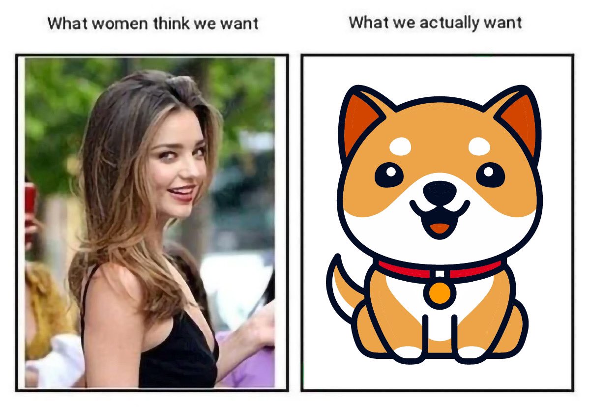 Baby Doge tweet media
