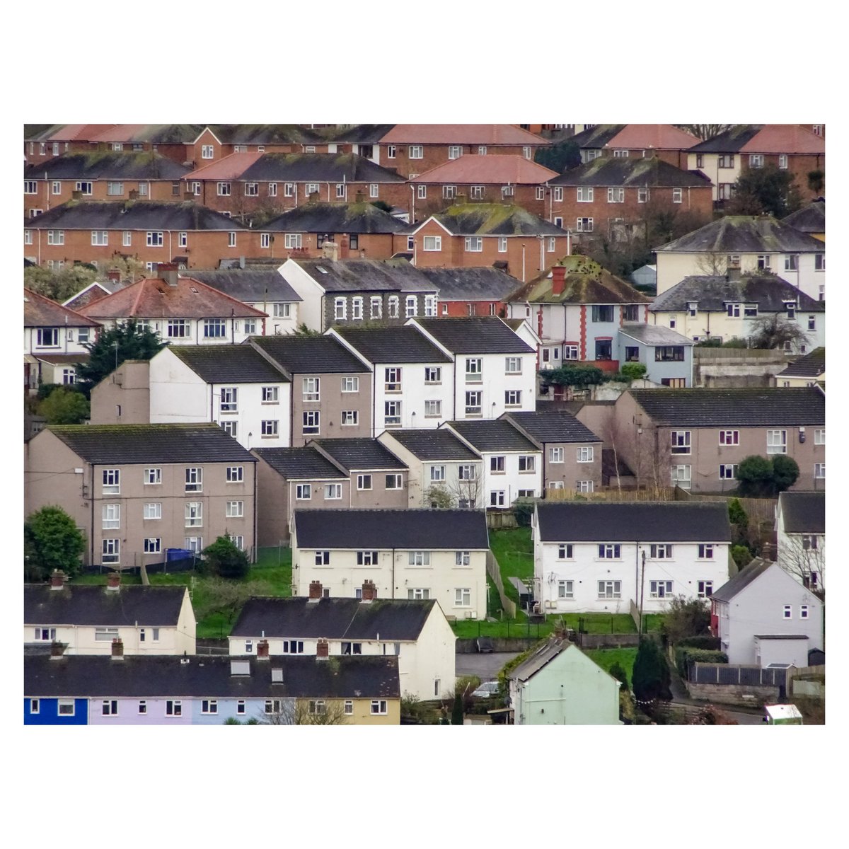 fwyalchen's tweet image. 16/03/2024 (2) – Penparcau

#penparcau #aberystwyth #ceredigion #canolbarthcymru #midwales #cymru #wales