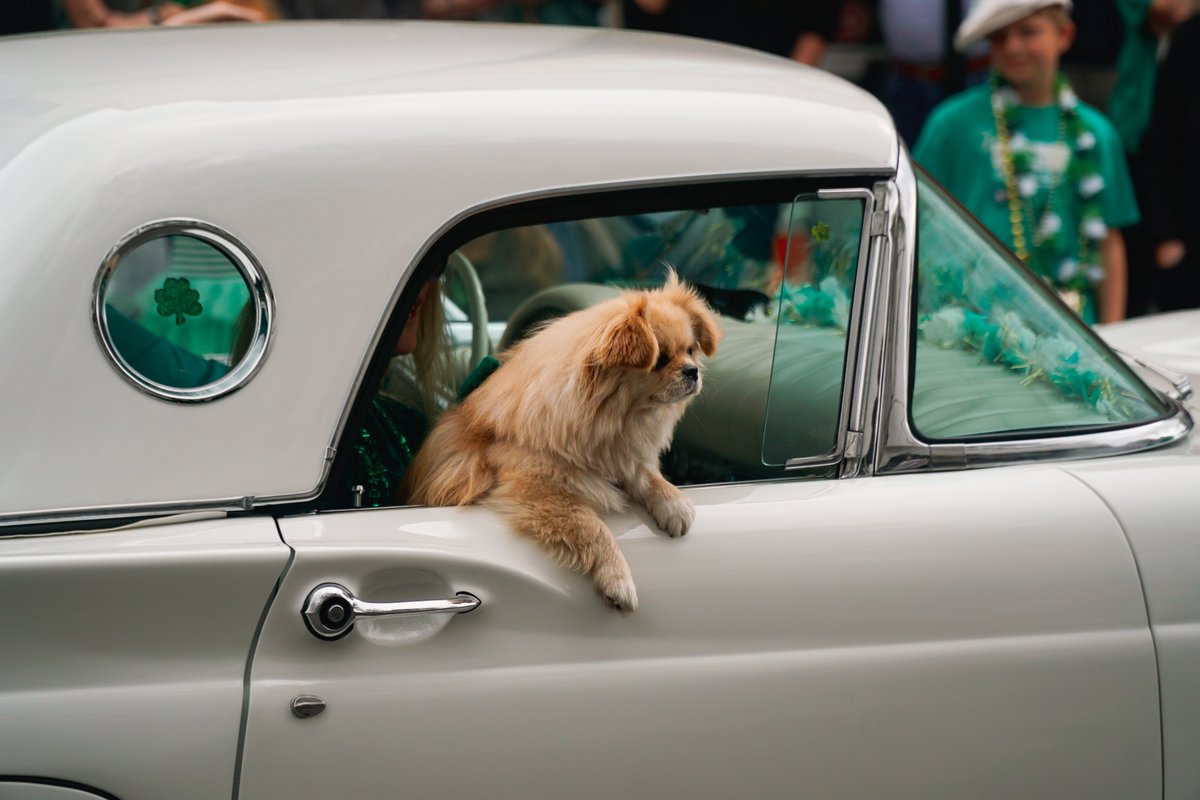 𝐂𝐫𝐚𝐢𝐠 𝐇𝐞𝐰𝐞𝐭𝐭 tweet media