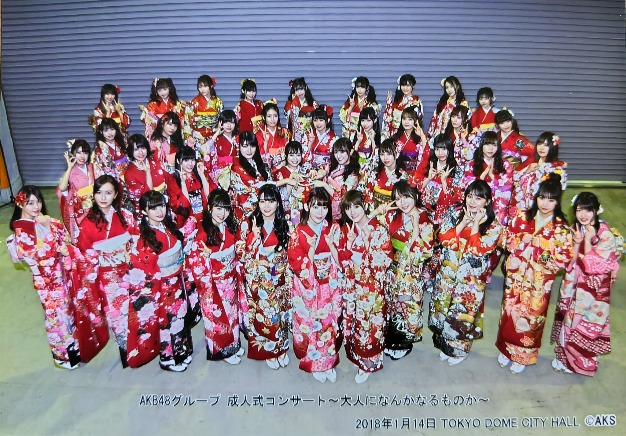 邦楽DVD AKB48 / AKB48グループ 成人式コンサート 大人になんか