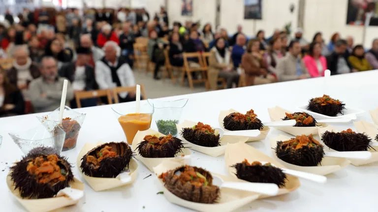 BalseiroLugo's tweet photo. ✳️ A Festa do Ourizo, cita de interese turístico galego, converte una vez máis San Ciprián en capital gastronómica do sabor do mar
#EscolleGalicia #Gastronomia #Ourizo #Cervo #MariñaLuguesa #MariñaLucense
📸 Pepa Losada (LVdeG) https://t.co/7juZAg6IO9