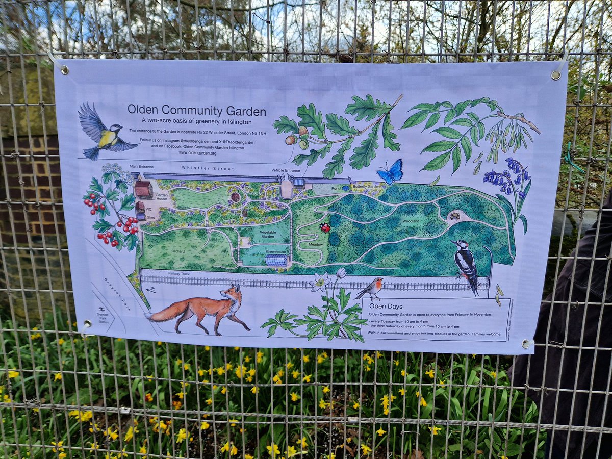 Petra Kneile, one of your regular volunteer gardeners, has designed a beautiful map of Olden Community Garden. The map is on display on the bridge garden fence in Drayton. See more examples of Petra's work at petrakneile.com #Highbury #volunteerislington