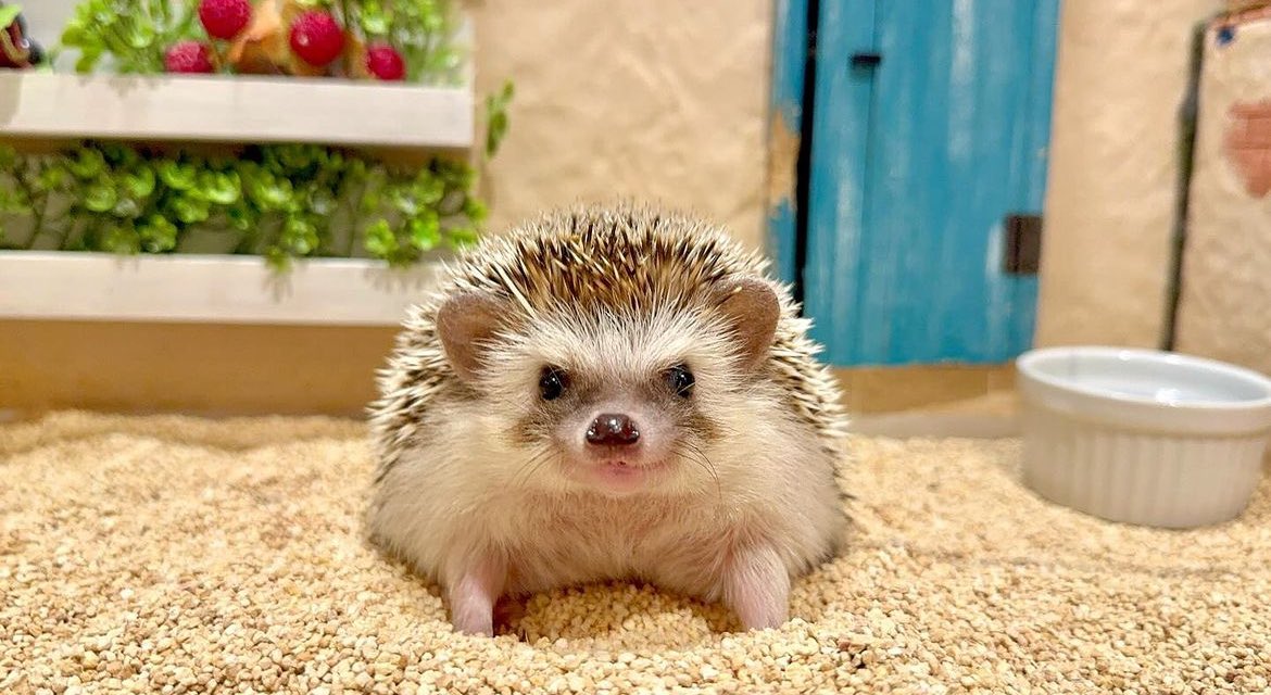 Saturday 16th March, 2024