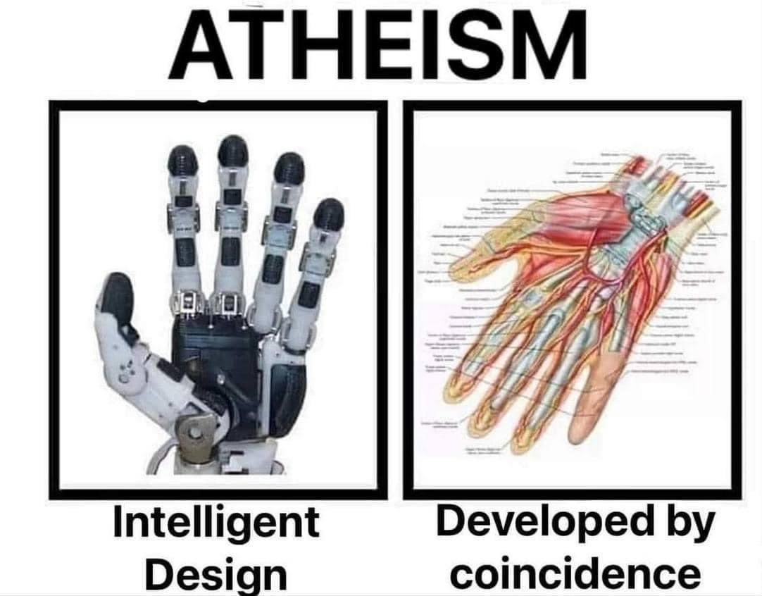 Yep!  It’s all just an accident. #genesis #atheism #intelligentdesign #creation