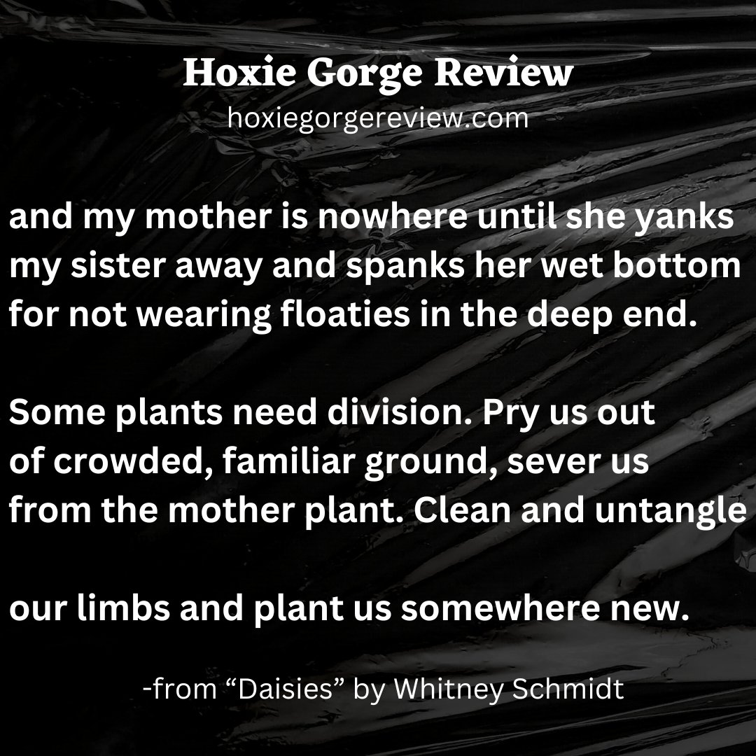 HoxGorgeReview's tweet photo. Read this poem in its entirety in Issue VIII--live now!
#issueviii #poet #poems #poetry #freeverse #litmag #literaryjournal #writingcommunity #readmore https://t.co/bxRe5TYE3I