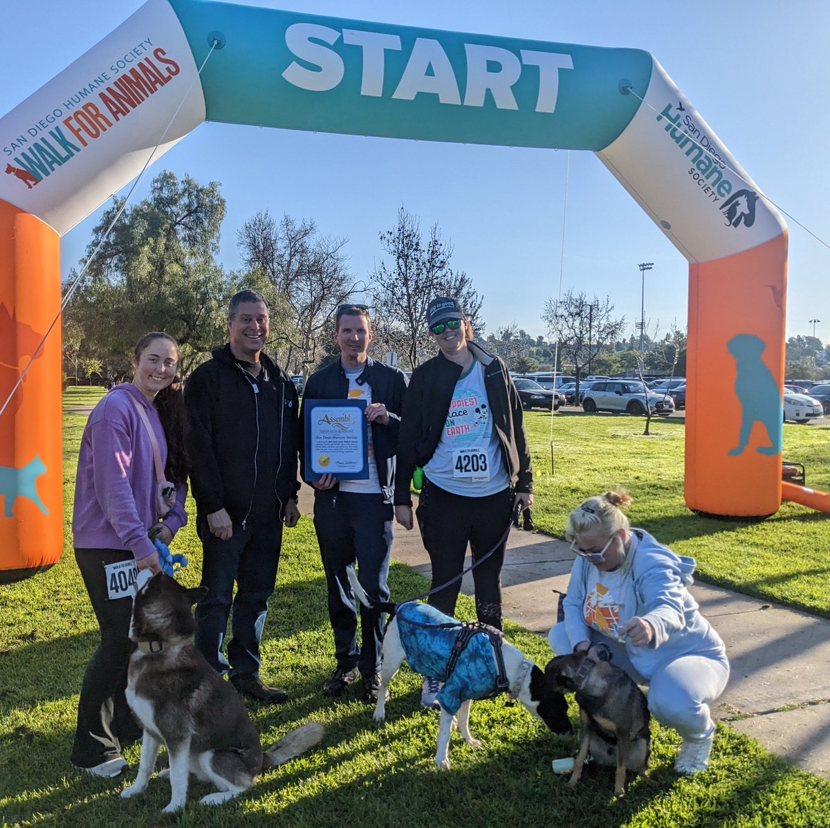 CACoreyU's tweet photo. Last event representing Assemblymember Marie Waldron? The @sdhumane North County Walk for Animals, of course! Thousands came out to create a more humane San Diego for both animals & humans.
#WalkForAnimals #AdoptDontShop https://t.co/SWtHnojJqp