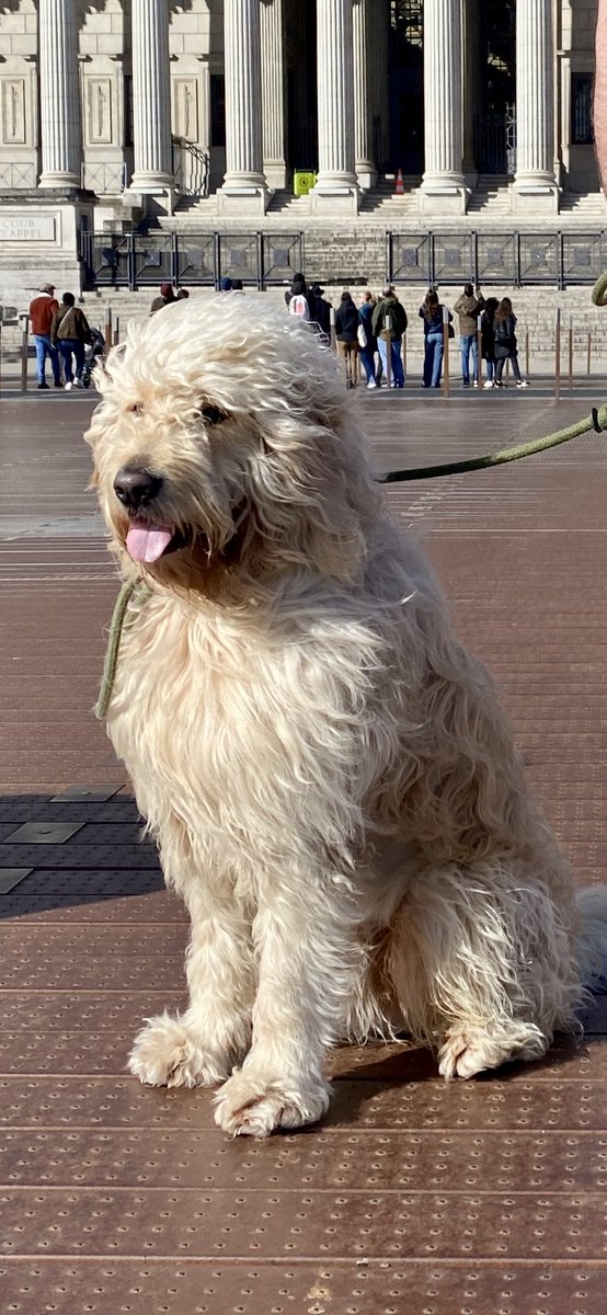 Nathan ✊🏼✊🏽✊🏿 🇺🇦 tweet media