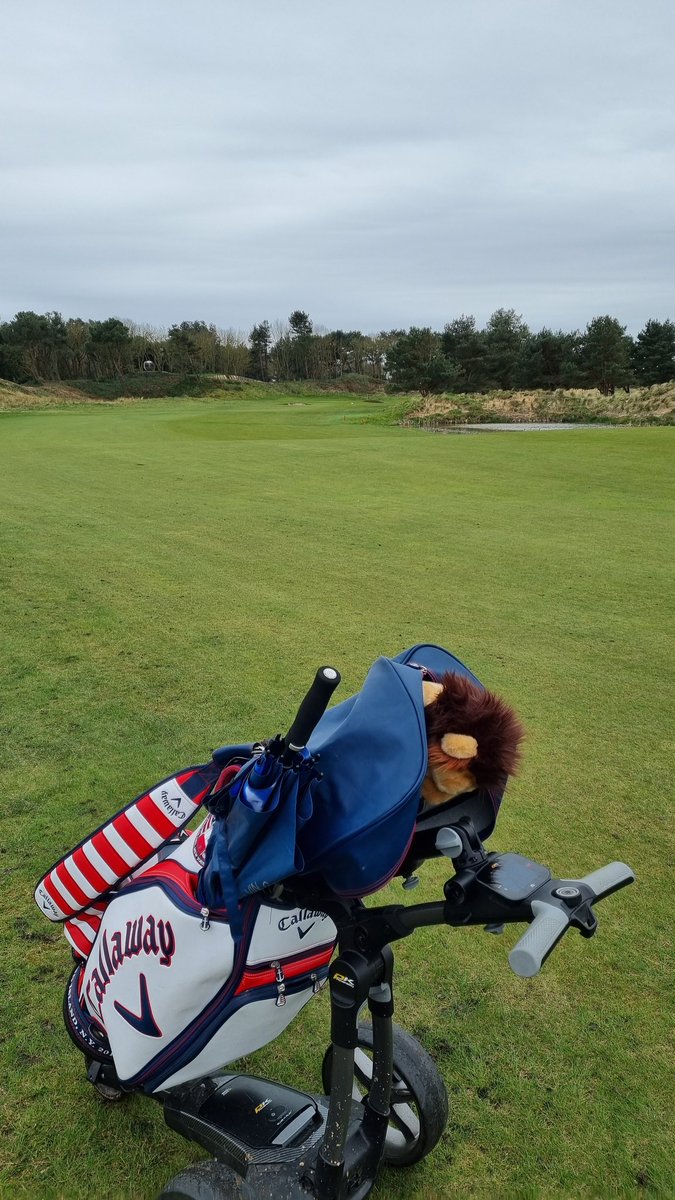 1980ste's tweet photo. Bad day at the Office 🤦‍♂️🍺🍺🍺🍺 too many beers last night.... is the excuse. https://t.co/dPfQSyd1Ye