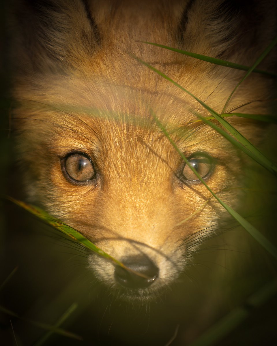 Paul Browning Photography tweet media