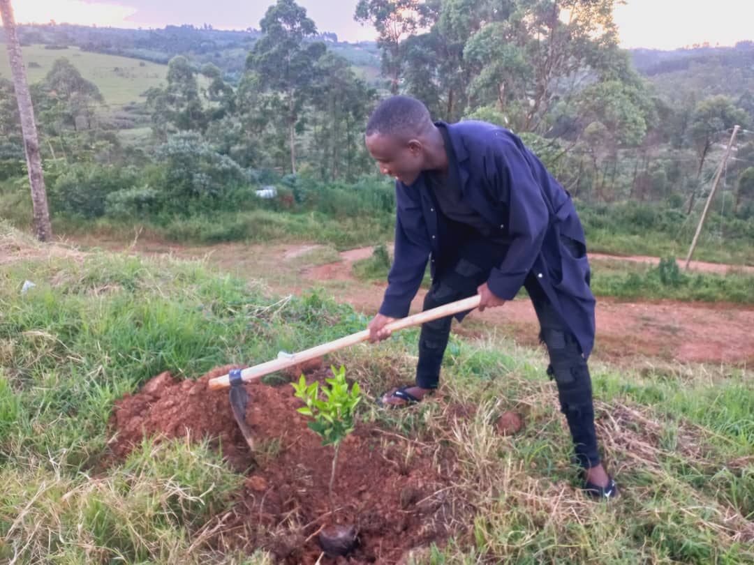 Day 6
#WorldRotaractWeek 
Today @RacUtc members have planted trees 
#taasaObutonde