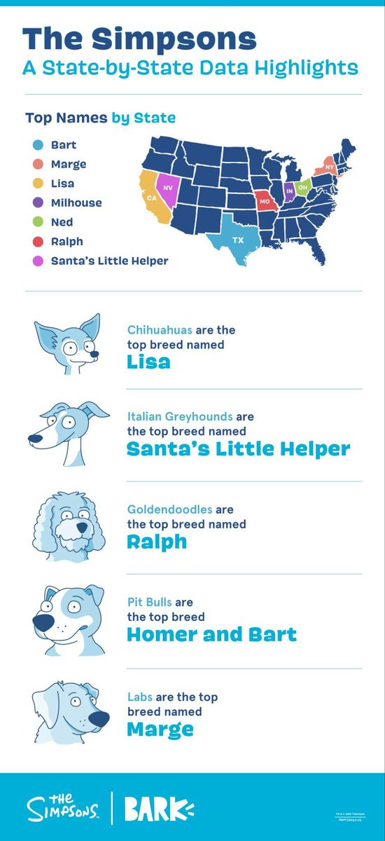@barkbox  lists that the name Bart is the most popular name for dogs in Dallas, TX where I'm from 💛🐶

#TheSimpsonsGoats #TheSimpsons #SimpsonsForever