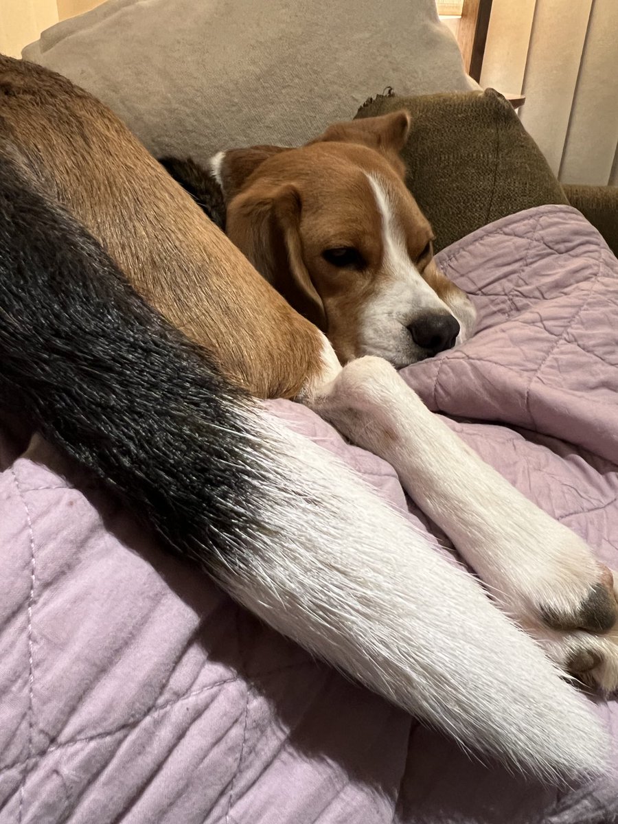 In my view, all of my angles are excellent!