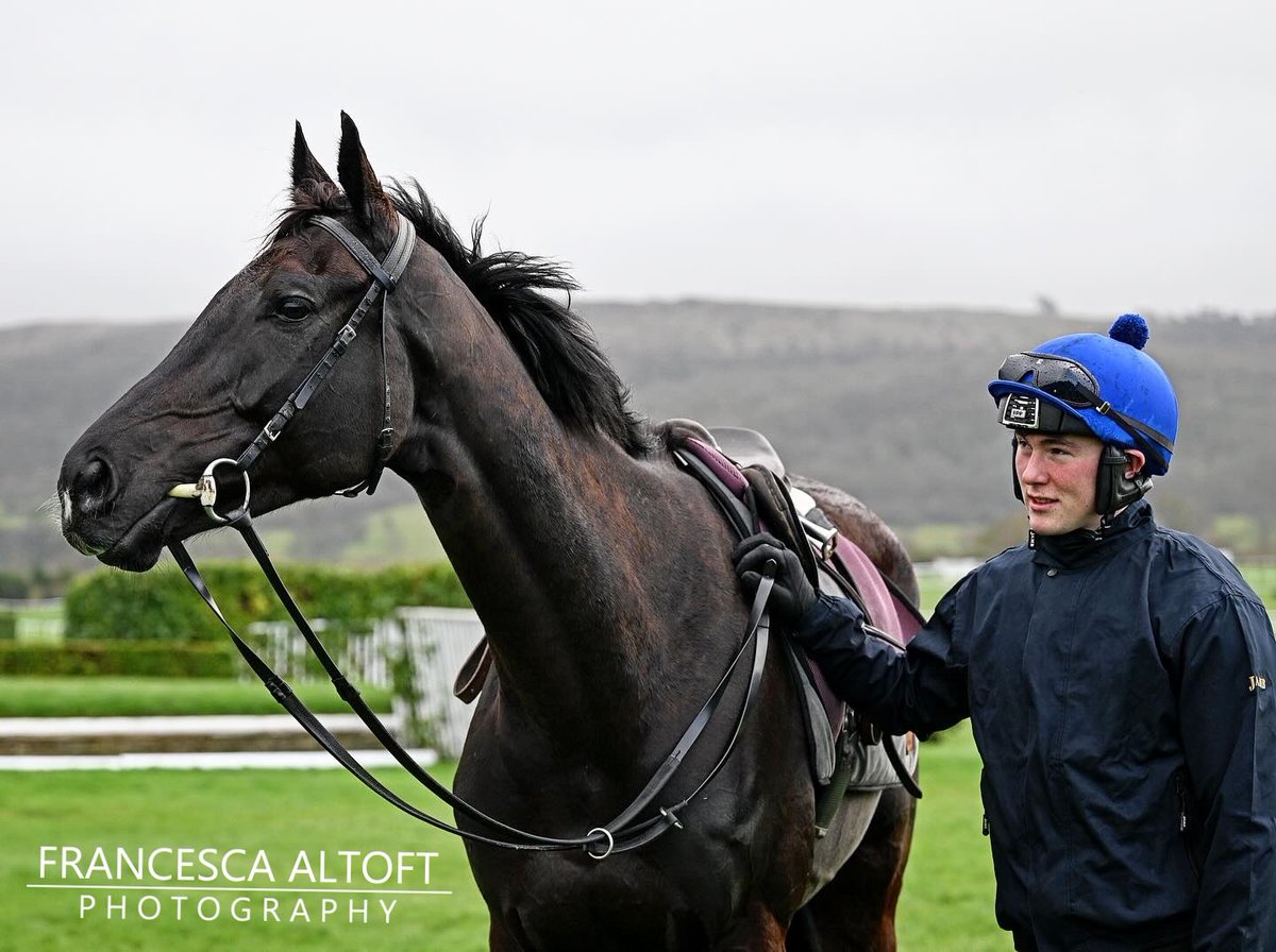 The King of Cheltenham surveying his kingdom 👑 Galopin Des Champs chilling out at @CheltenhamRaces with @aconnolly199 yesterday morning.