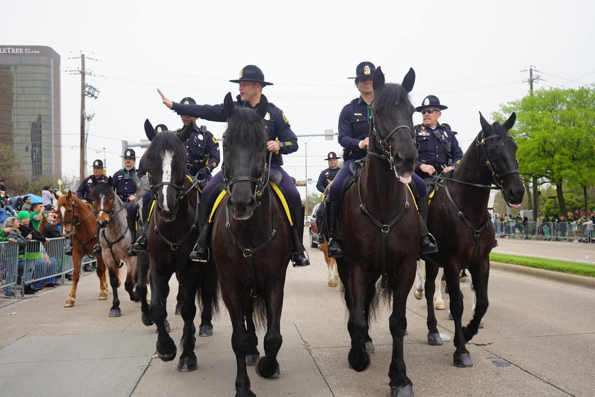 ato_divide's tweet image. Dallas PIO getting amazing shots of our 🔥 Mounted Unit 🐴🔥💙. St Patty’s parade underway. ☘️  @DallasPD @ATODallas @dpdwellness