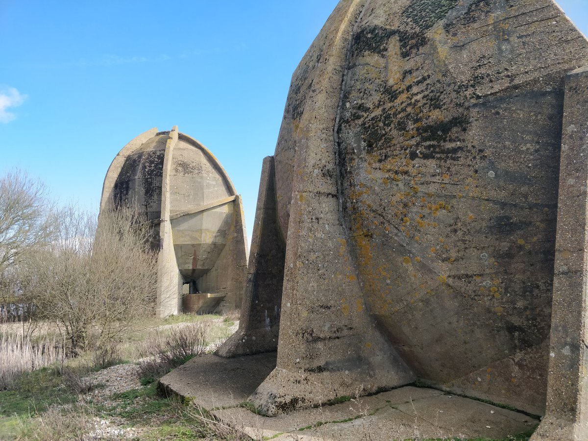 MaunsellForts tweet picture