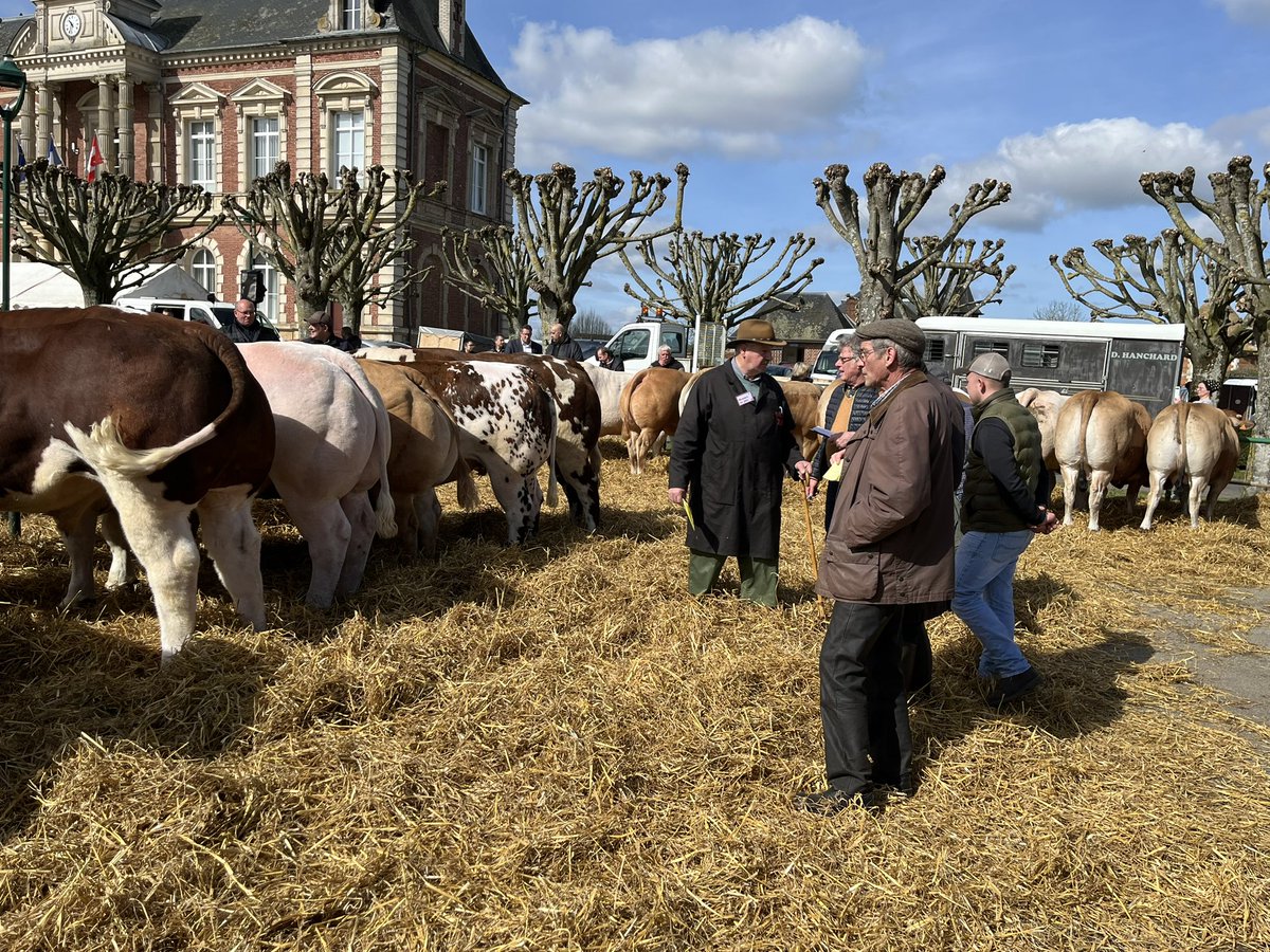 Une édition 2024 réussie de la comice agricole de Grand Bourgtheroulde.
Fier de nos racines paysannes.
#ruralite 
@GillesLievens