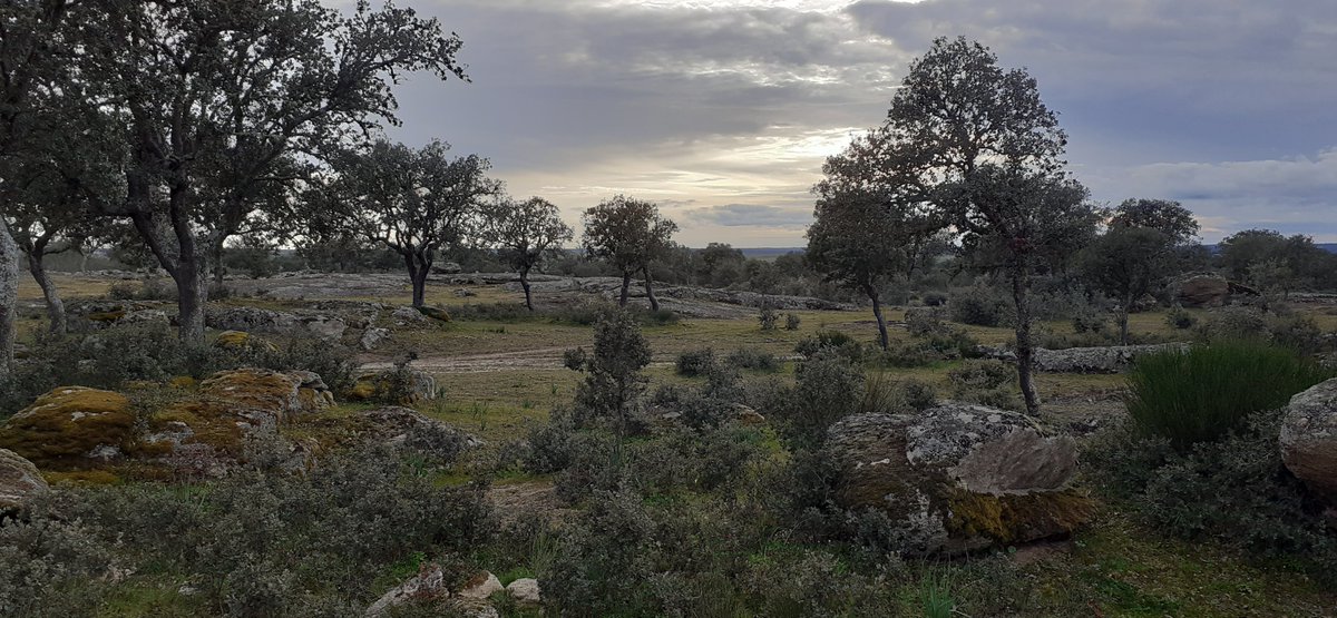 Mercedes Cerón (@mercedescp3) on Twitter photo 