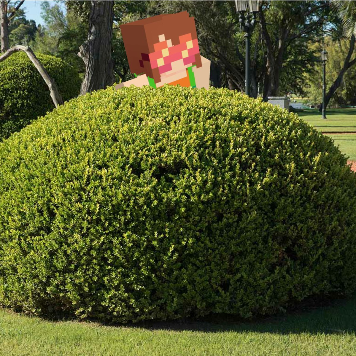 Where is Squiddo? tweet media