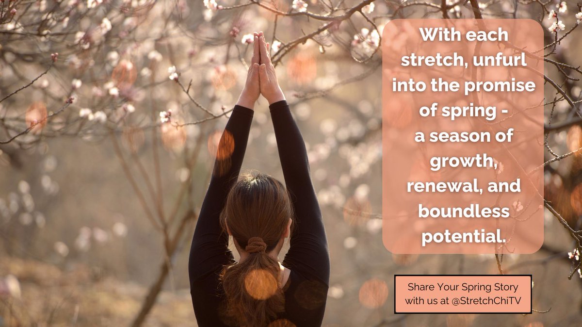 StretchChiTV's tweet photo. Witness the rebirth of nature and your spirit this spring. 🌼 Stretch into the season's potential and share your journey of growth and renewal. Tag us @StretchChiTV with your story. #SpringRenewal #WellnessJourney #StretchChi #SpringintoFitness https://t.co/tZJuKOkHmm