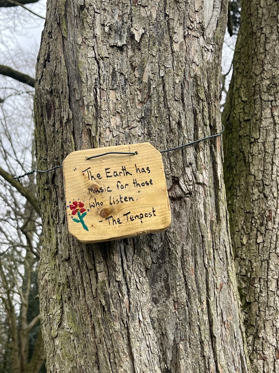 #flora and #fauna in #didsburypark #didsburyparkvolunteers