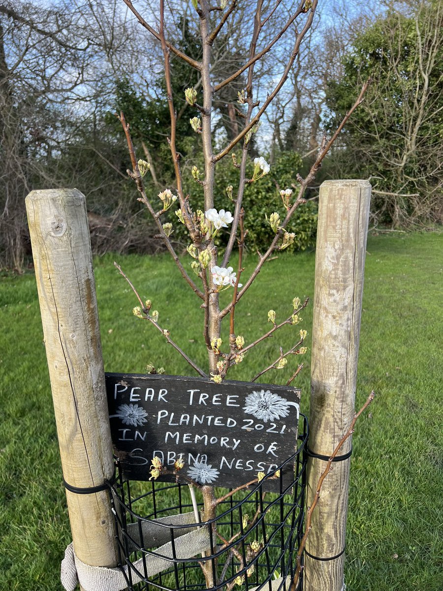 Here Come the Girls! So good to hear from young people and host @AmandadeRyk &amp; <a href="/LewishamCouncil/">Lewisham Council</a> women councillors, in our efforts to make <a href="/ForsterMPark/">ForsterMPark</a> safe, welcoming and inclusive with and for women &amp; girls and #inspireinclusion across the borough #IWD2024