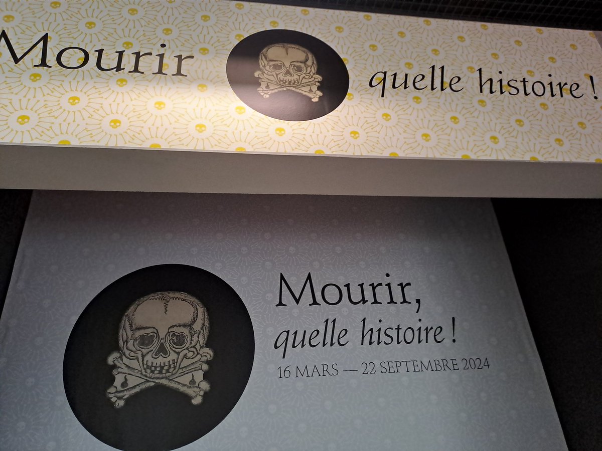 Céline CHANAS 🇪🇺🇺🇦 tweet media