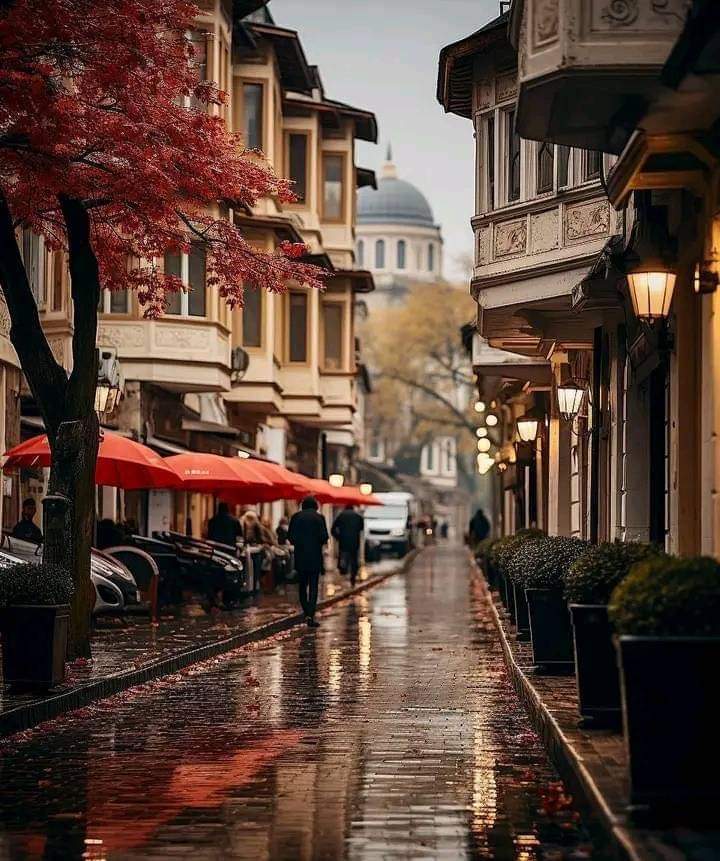 Tarihi dokusu korunmuş olsaydı günümüz İstanbul'u böyle olacaktı.
Ne acı değil mi?