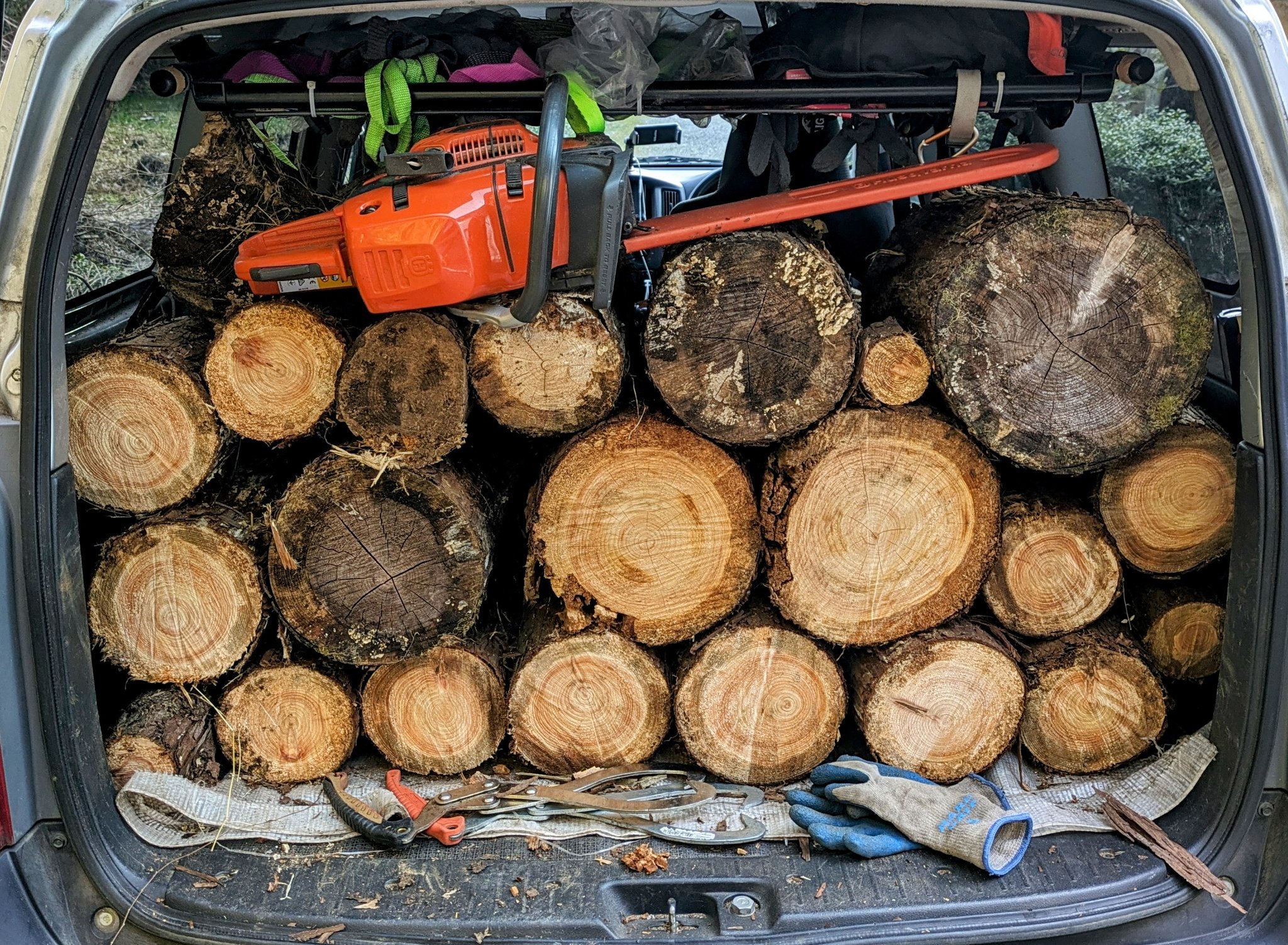 薪活 - البحث / X