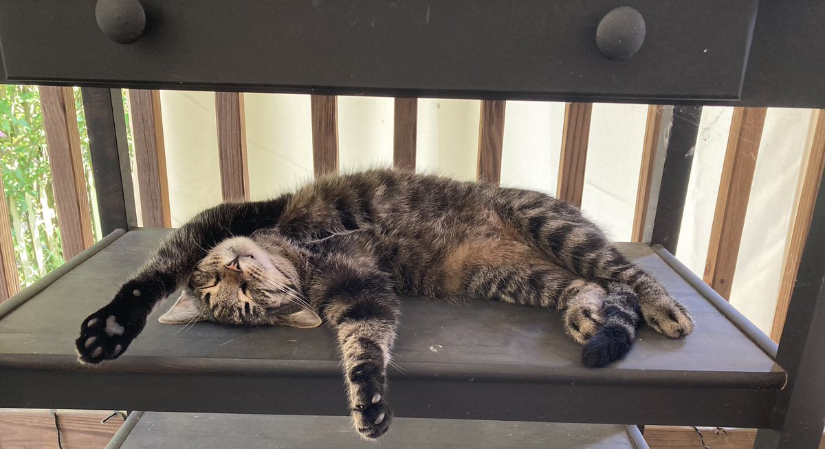 Anticipation exhaustion #kittykontent #bm100 <a href="/keithdunn/">Keith</a>