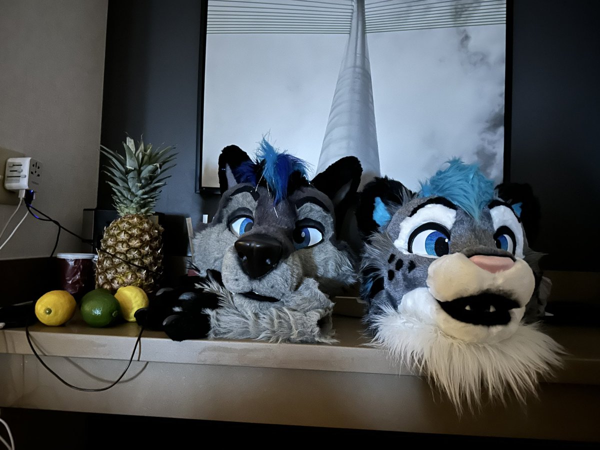 I guess this app is still a thing. At #TFF2024 Woke up with these guys staring at me 😰