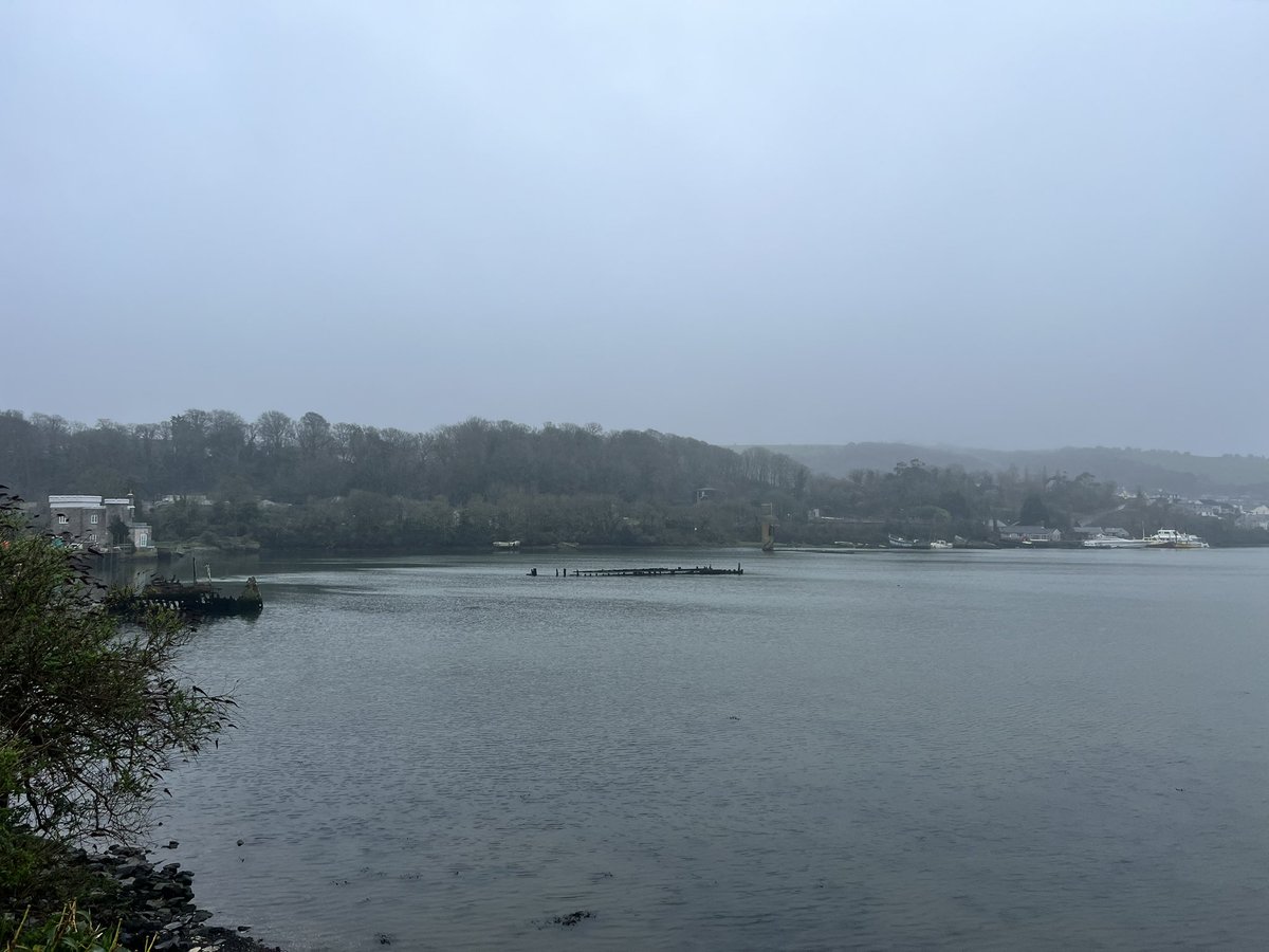 Hannah W tweet media