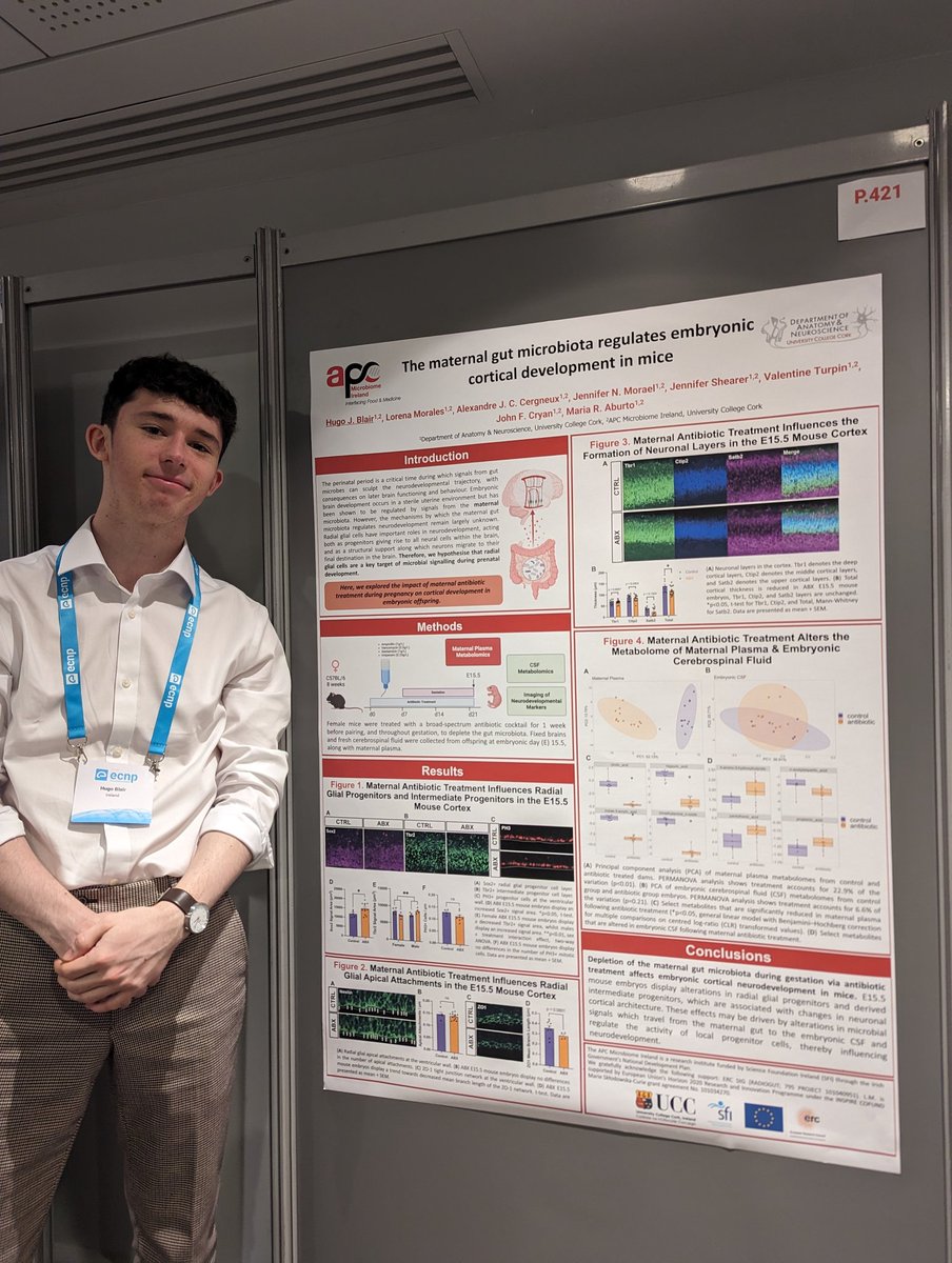 Hugo (@hugoneuro) on Twitter photo Delighted to present a poster at the ECNP Early Career Workshop on my initial findings about the role of the maternal gut microbiota in the regulation of offspring neurodevelopment 🦠🧠
<a href="/isen_gard/">María R. Aburto</a> <a href="/jfcryan/">John F. Cryan</a>
#ecnpWS2024 <a href="/ECNPtweets/">ECNP</a> Delighted to present a poster at the ECNP Early Career Workshop on my initial findings about the role of the maternal gut microbiota in the regulation of offspring neurodevelopment 🦠🧠
<a href="/isen_gard/">María R. Aburto</a> <a href="/jfcryan/">John F. Cryan</a>
#ecnpWS2024 <a href="/ECNPtweets/">ECNP</a>
