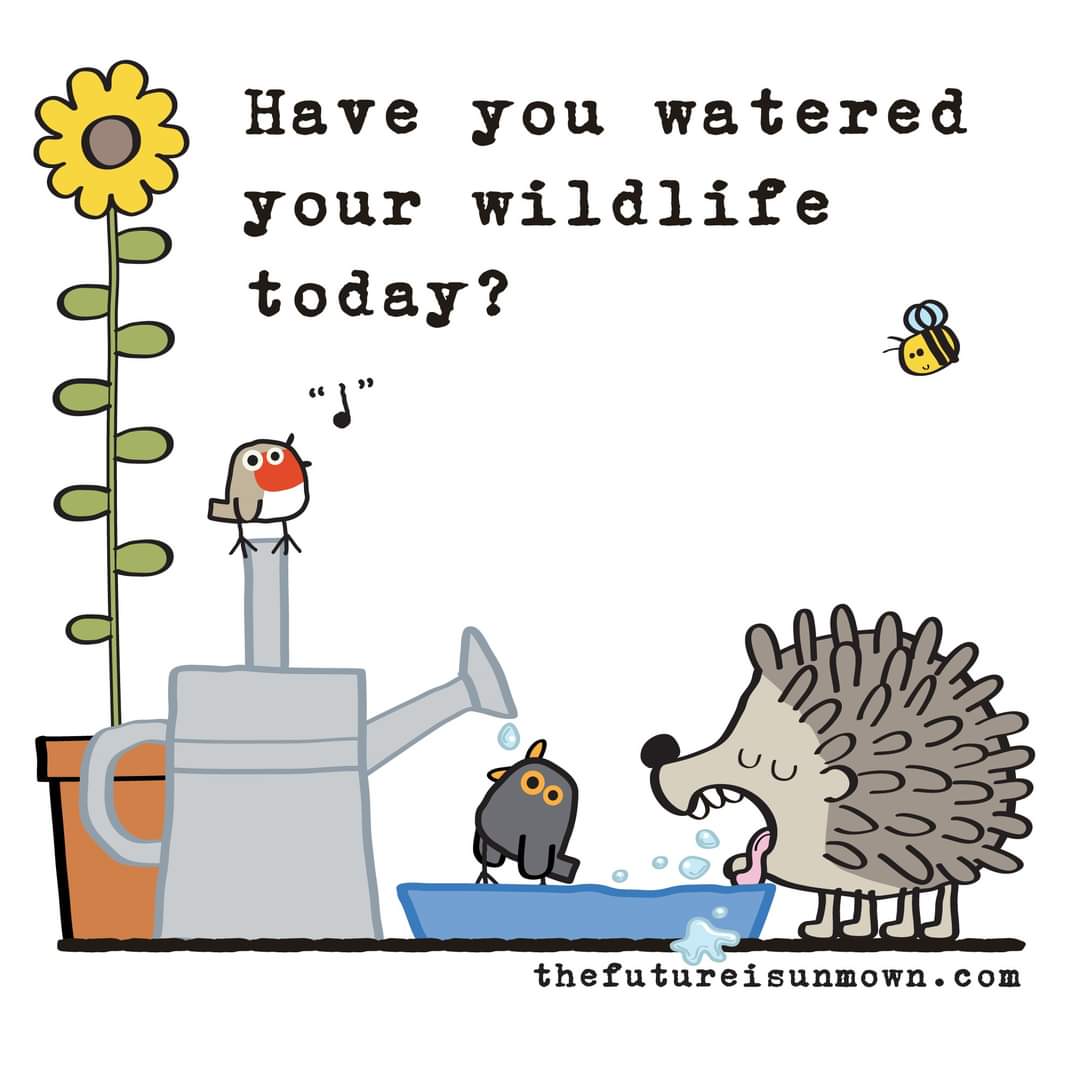 😊💦🩵 #waterforwildlife #wildlifegarden #thefutureisunmown