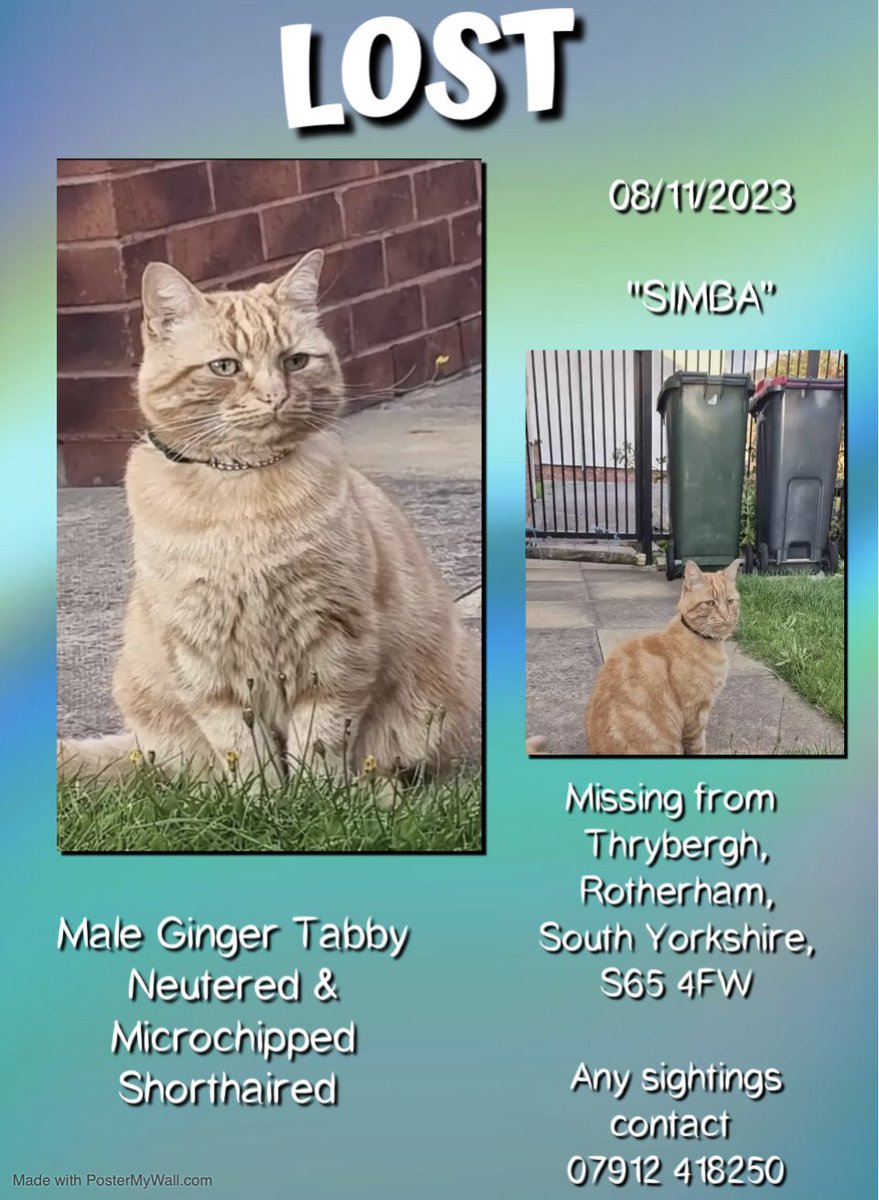 Pls RT
Simba male ginger tabby cat missing from Thrybergh, Rotherham, #S65 4FW since 7/11/23. Simba is neutered & microchipped. Family had only been in new home for a few hours, children left door open. Simba is lost in an unfamiliar area. @SAMPAuk_ @MissingPetsGB @CatsMissing