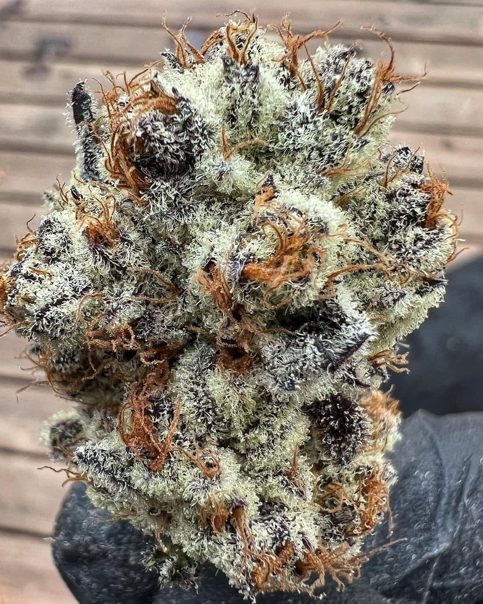 STONERS R US 🍃 tweet media