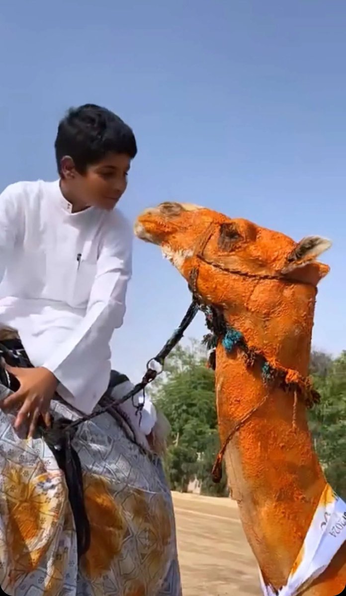3_arv2's tweet photo. غلاها ماهو من اليوم من عادها حواره🐪🤍. https://t.co/8spFIRolRY