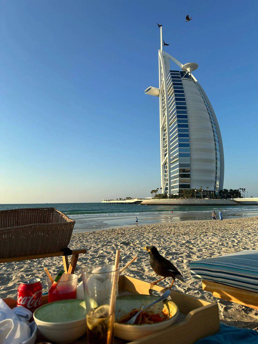 Sakurai Beata (@yujie64beata) on Twitter photo 