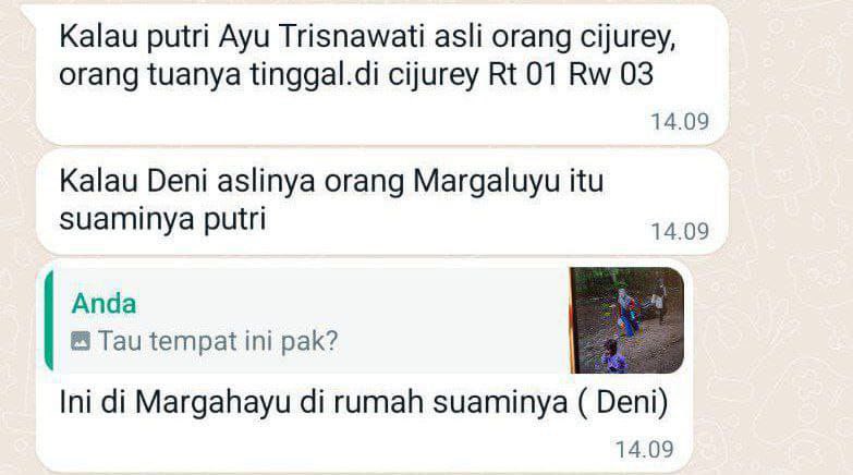aleaacy tweet media