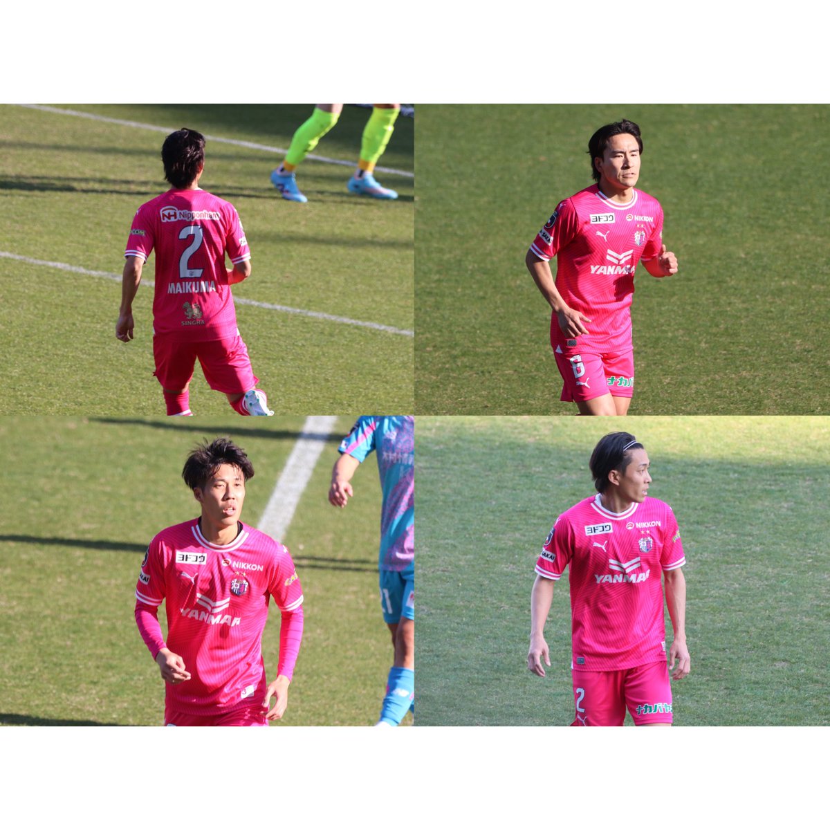 ⚽️明治安田J1リーグ第4節⚽️
        セレッソ大阪🩷🤍
 #J1リーグ  #2024season  #第4節 #セレッソ大阪 #ゴール裏  #j撮り  #駅前不動産スタジアム