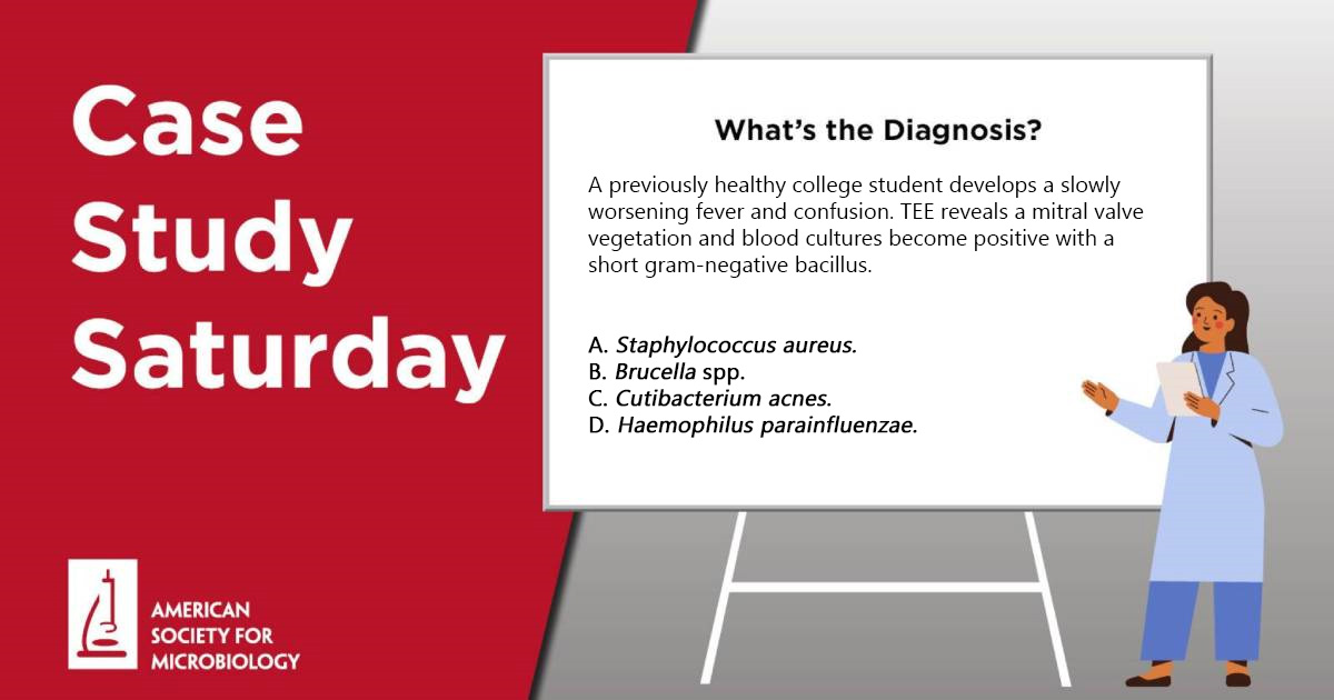 A previously healthy college student develops a worsening fever & confusion. TEE reveals a mitral valve vegetation & blood cultures become positive with a short gram-negative bacilli. Can you guess the diagnosis? Get the answer Tuesday: asm.social/1L7 #CaseStudySaturday