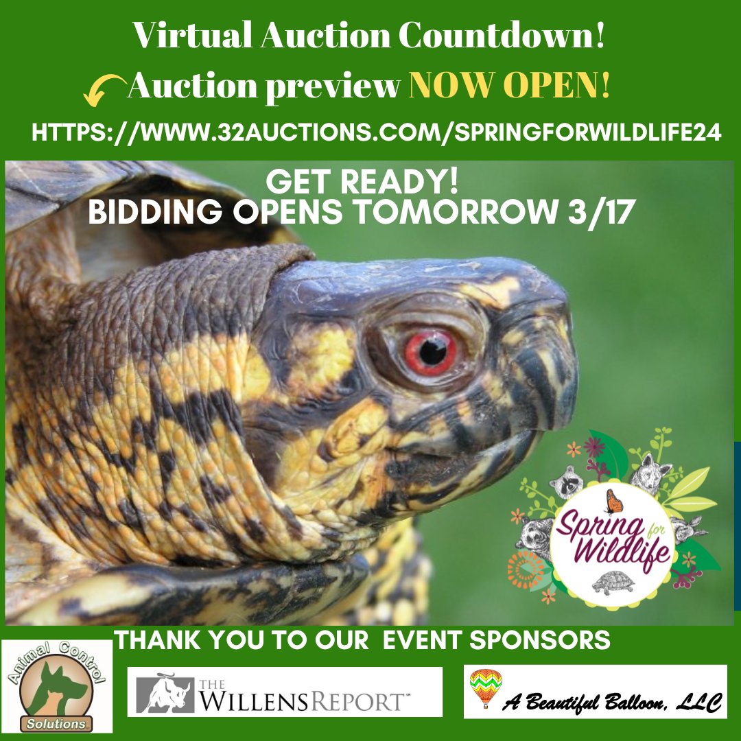 Virtual Auction Preview is NOW OPEN!
Click here to visit auction now: 32auctions.com/springforwildl…
Peruse our amazing variety of over 172 incredible items! 

Win something wonderful in our Woodlands 27th Spring for Wildlife Virtual Auction!
#auction #onlineauction #charity #nonprofit