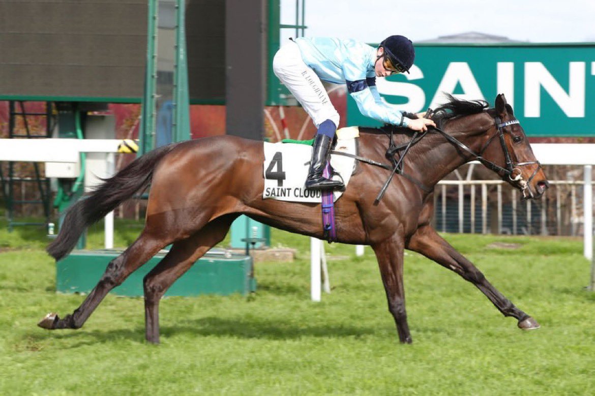 Highclere tweet media