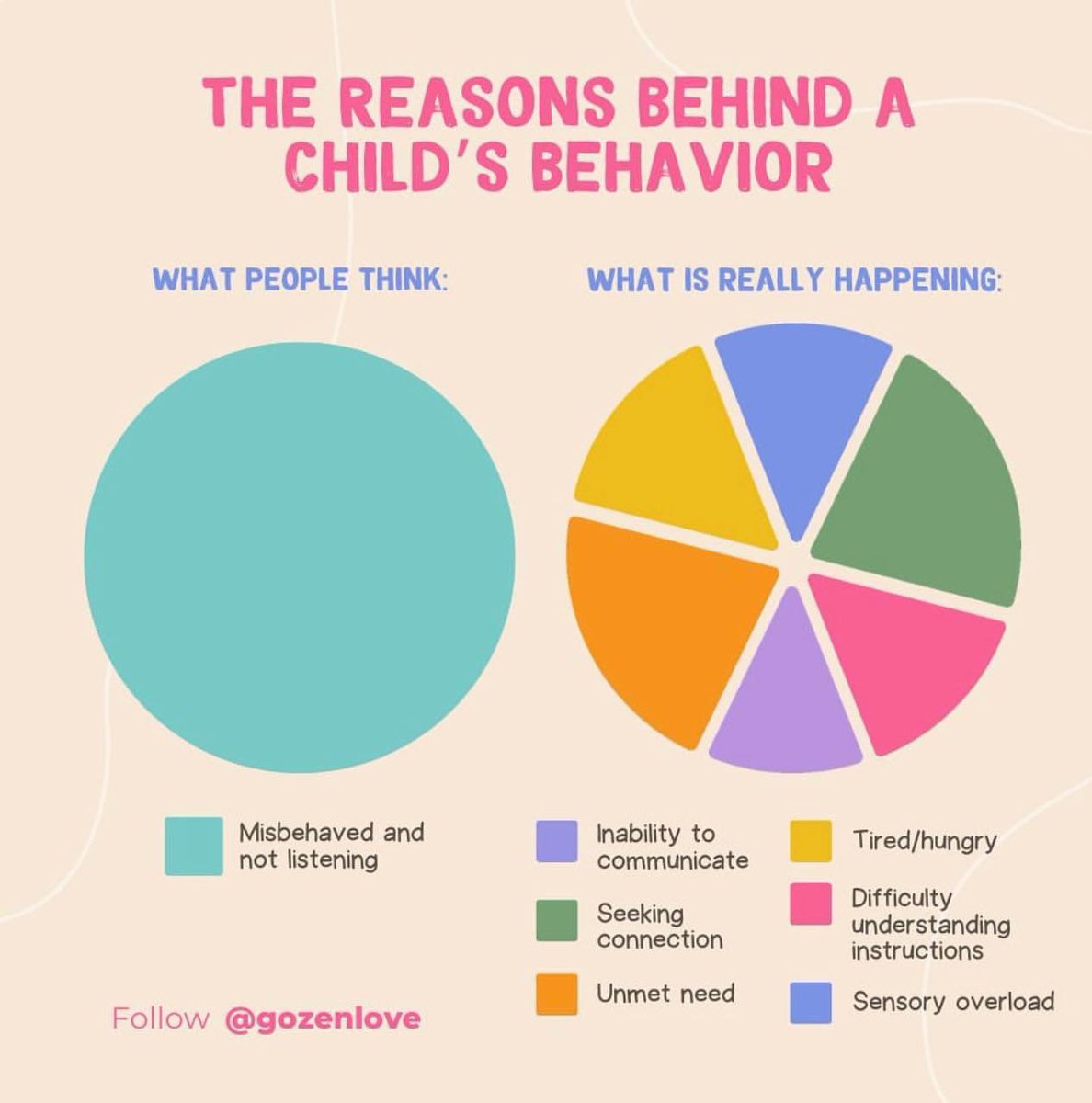 Lynne Taylor tweet media